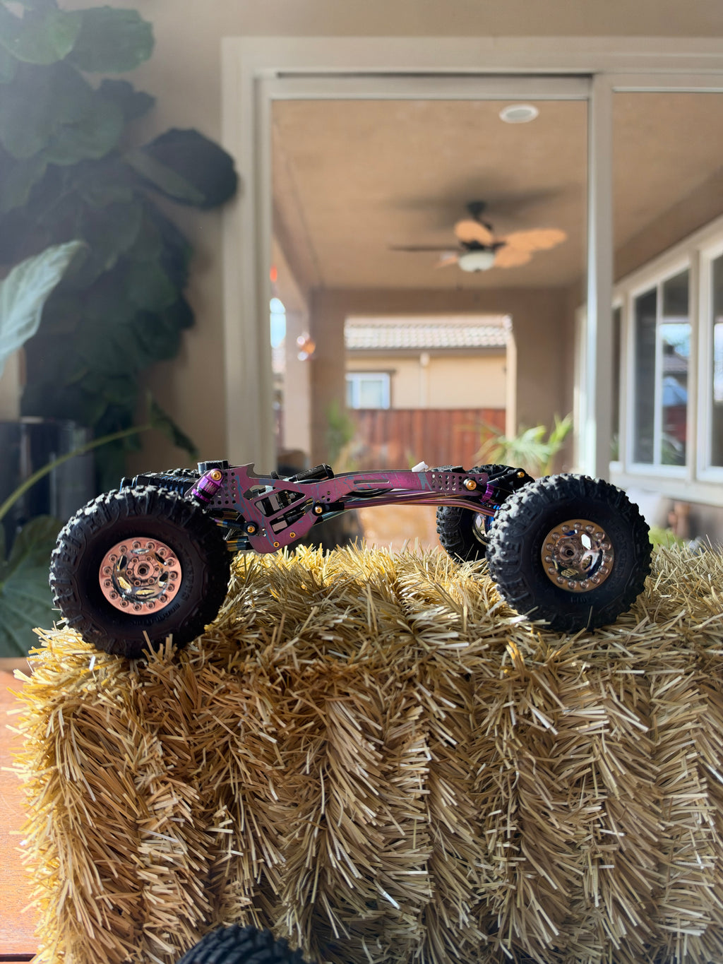 Cotton Candy Tiger Snake ARTR Roller