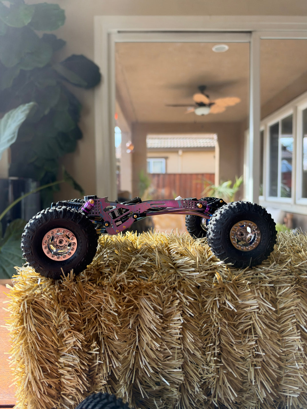 Cotton Candy Tiger Snake ARTR Roller